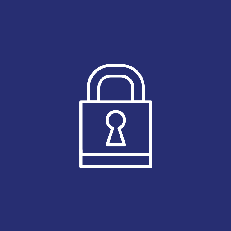 Asset protection icon.